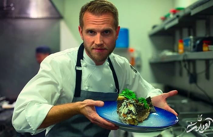 هنرمند بودن یک ویژگی آشپز حرفه ای آشپز خوب شدن